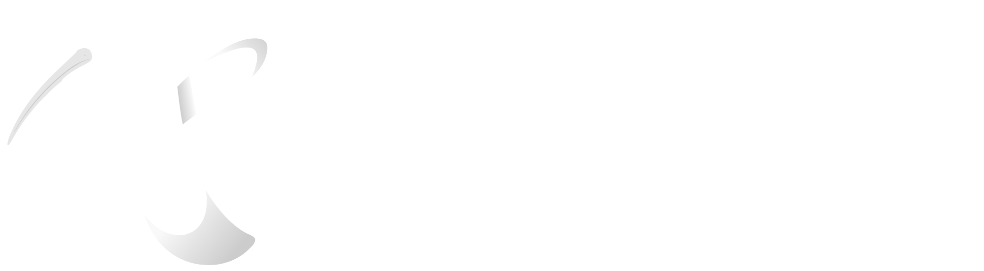 Kiwi Shop Việt Nam